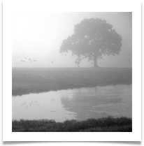 6 - Black and White 1 - Chris Beesley